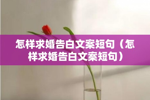 怎样求婚告白文案短句（怎样求婚告白文案短句）