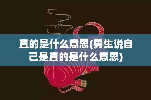 直的是什么意思(男生说自己是直的是什么意思)