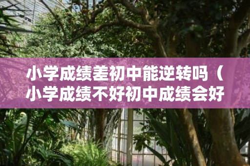 小学成绩差初中能逆转吗（小学成绩不好初中成绩会好吗）