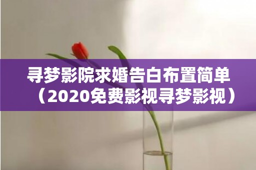 寻梦影院求婚告白布置简单（2020免费影视寻梦影视）