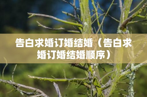 告白求婚订婚结婚（告白求婚订婚结婚顺序）