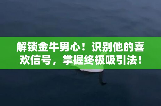 解锁金牛男心！识别他的喜欢信号，掌握终极吸引法！