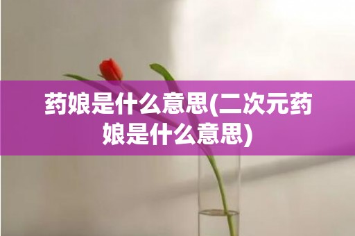 药娘是什么意思(二次元药娘是什么意思)