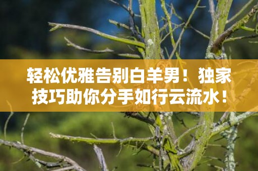 轻松优雅告别白羊男！独家技巧助你分手如行云流水！