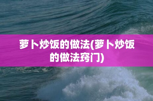 萝卜炒饭的做法(萝卜炒饭的做法窍门)