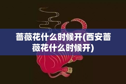 蔷薇花什么时候开(西安蔷薇花什么时候开)