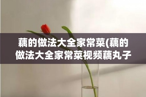 藕的做法大全家常菜(藕的做法大全家常菜视频藕丸子)