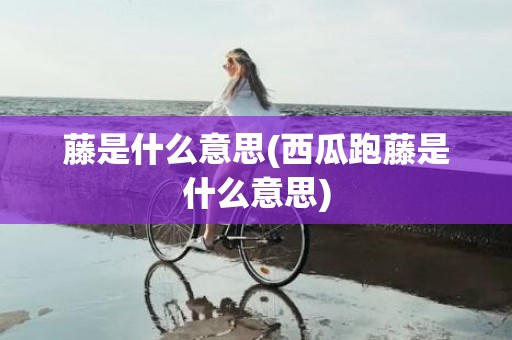 藤是什么意思(西瓜跑藤是什么意思)