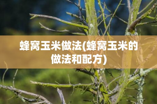 蜂窝玉米做法(蜂窝玉米的做法和配方)