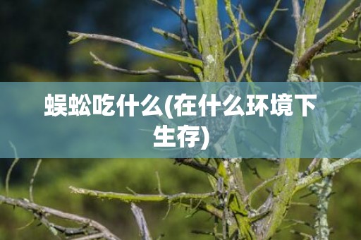 蜈蚣吃什么(在什么环境下生存)