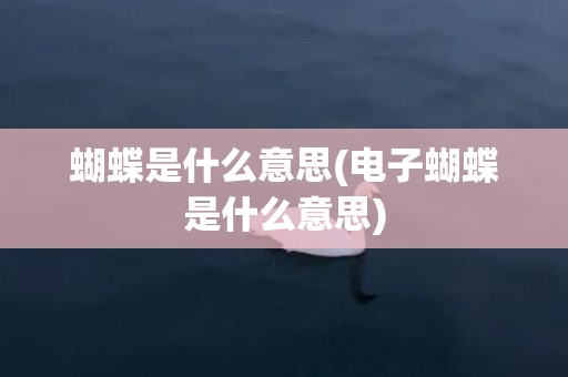 蝴蝶是什么意思(电子蝴蝶是什么意思)