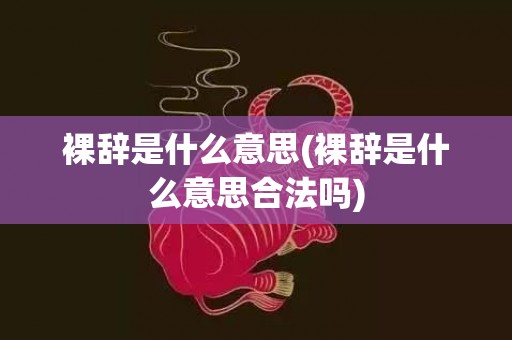 裸辞是什么意思(裸辞是什么意思合法吗)