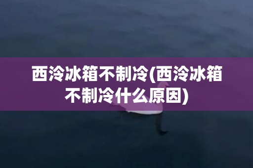 西泠冰箱不制冷(西泠冰箱不制冷什么原因)