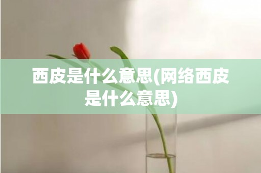 西皮是什么意思(网络西皮是什么意思)