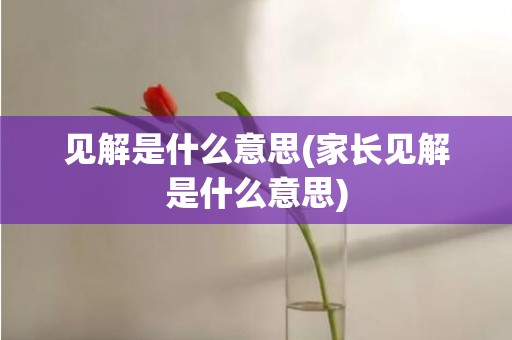 见解是什么意思(家长见解是什么意思)