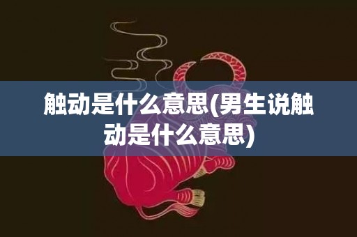 触动是什么意思(男生说触动是什么意思)