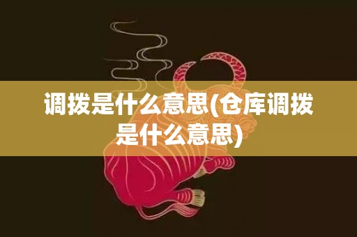 调拨是什么意思(仓库调拨是什么意思)