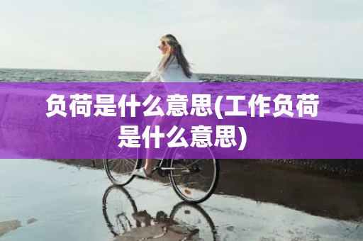 负荷是什么意思(工作负荷是什么意思)