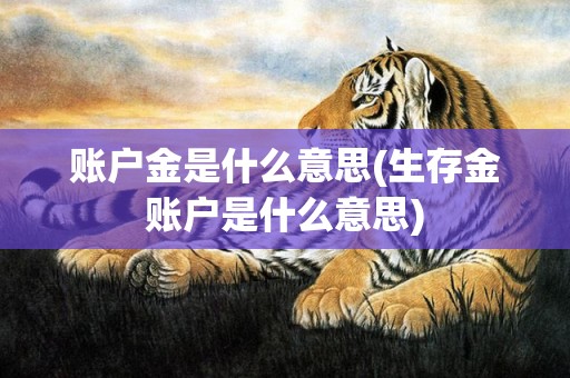 账户金是什么意思(生存金账户是什么意思)