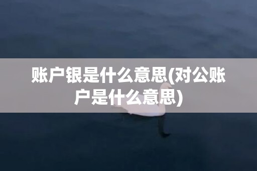 账户银是什么意思(对公账户是什么意思)