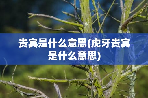 贵宾是什么意思(虎牙贵宾是什么意思)