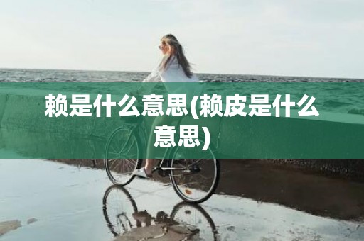 赖是什么意思(赖皮是什么意思)