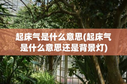 起床气是什么意思(起床气是什么意思还是背景灯)