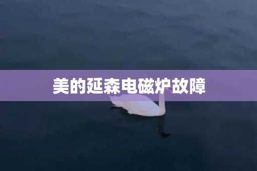 美的延森电磁炉故障