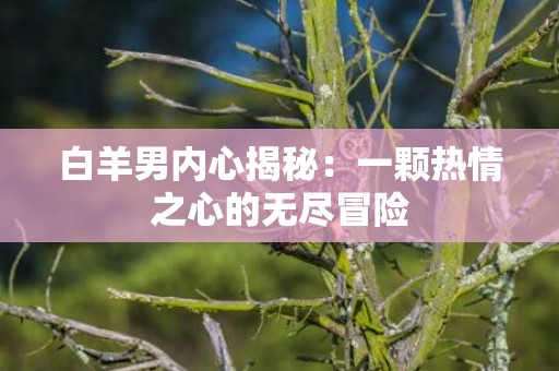 白羊男内心揭秘：一颗热情之心的无尽冒险