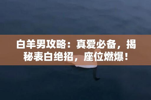 白羊男攻略：真爱必备，揭秘表白绝招，座位燃爆！