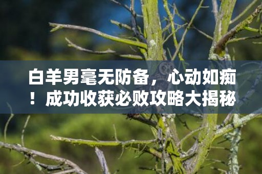 白羊男毫无防备，心动如痴！成功收获必败攻略大揭秘！