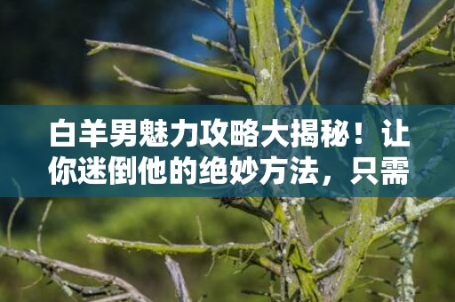 白羊男魅力攻略大揭秘！让你迷倒他的绝妙方法，只需70个字！