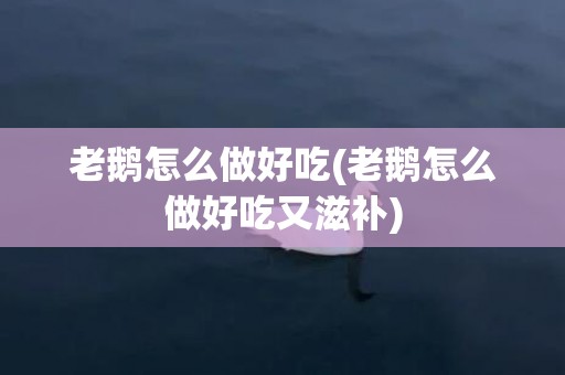 老鹅怎么做好吃(老鹅怎么做好吃又滋补)