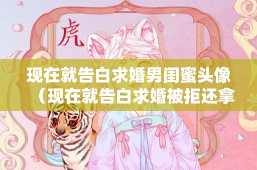 现在就告白求婚男闺蜜头像（现在就告白求婚被拒还拿发票）