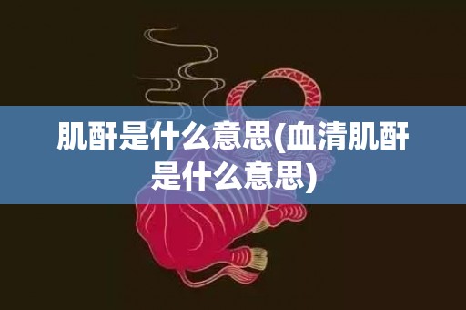 肌酐是什么意思(血清肌酐是什么意思)