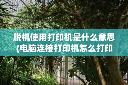 脱机使用打印机是什么意思(电脑连接打印机怎么打印文件)