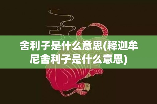 舍利子是什么意思(释迦牟尼舍利子是什么意思)