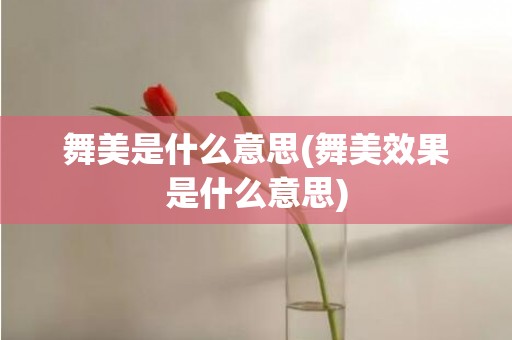 舞美是什么意思(舞美效果是什么意思)