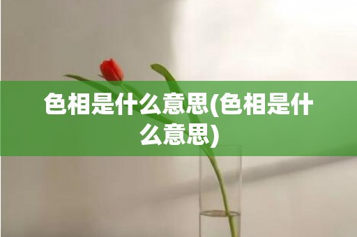 色相是什么意思(色相是什么意思)