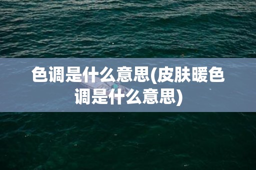 色调是什么意思(皮肤暖色调是什么意思)