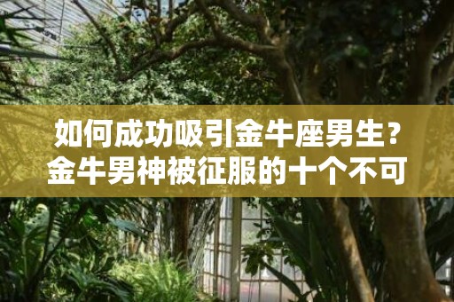 如何成功吸引金牛座男生？金牛男神被征服的十个不可错过的技巧！