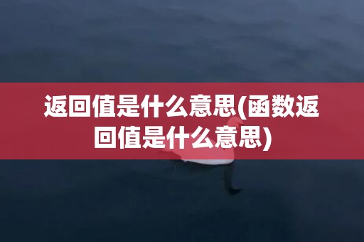 返回值是什么意思(函数返回值是什么意思)