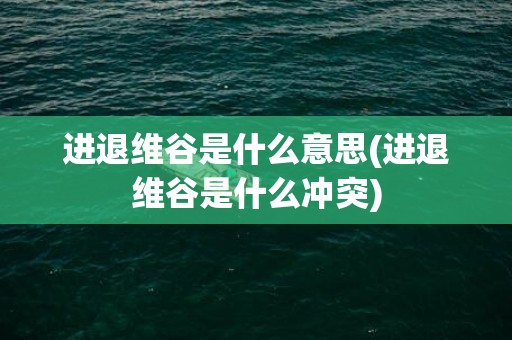 进退维谷是什么意思(进退维谷是什么冲突)