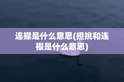 连襟是什么意思(担挑和连襟是什么意思)