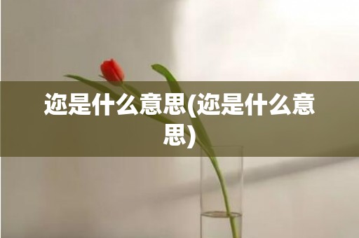 迩是什么意思(迩是什么意思)