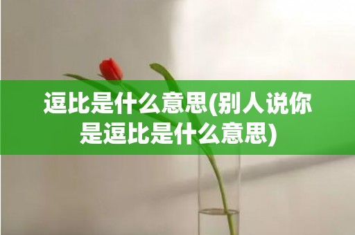 逗比是什么意思(别人说你是逗比是什么意思)