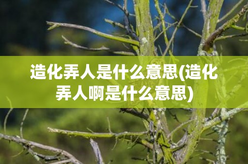 造化弄人是什么意思(造化弄人啊是什么意思)