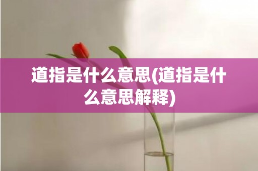 道指是什么意思(道指是什么意思解释)