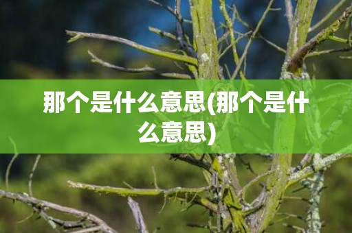 那个是什么意思(那个是什么意思)