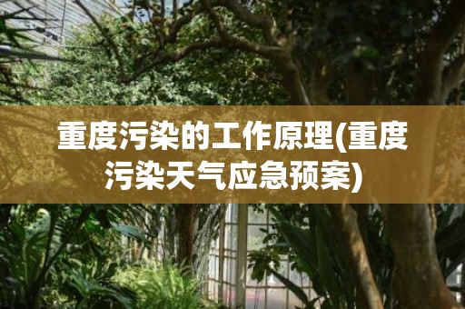 重度污染的工作原理(重度污染天气应急预案)